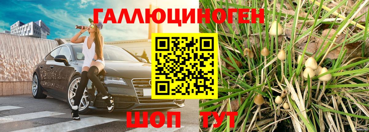 Псилоцибиновые грибы прущие грибы Татарск