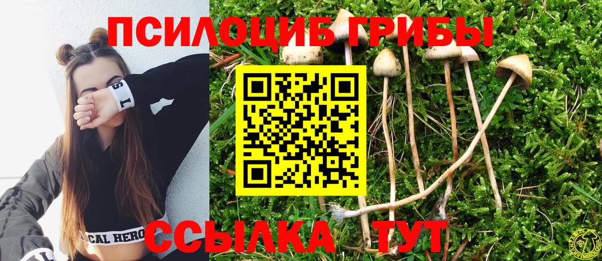 Псилоцибиновые грибы Magic Shrooms  Вход с VPN  Татарск 